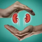What You Should Know About a Kidney and Liver Function Test
